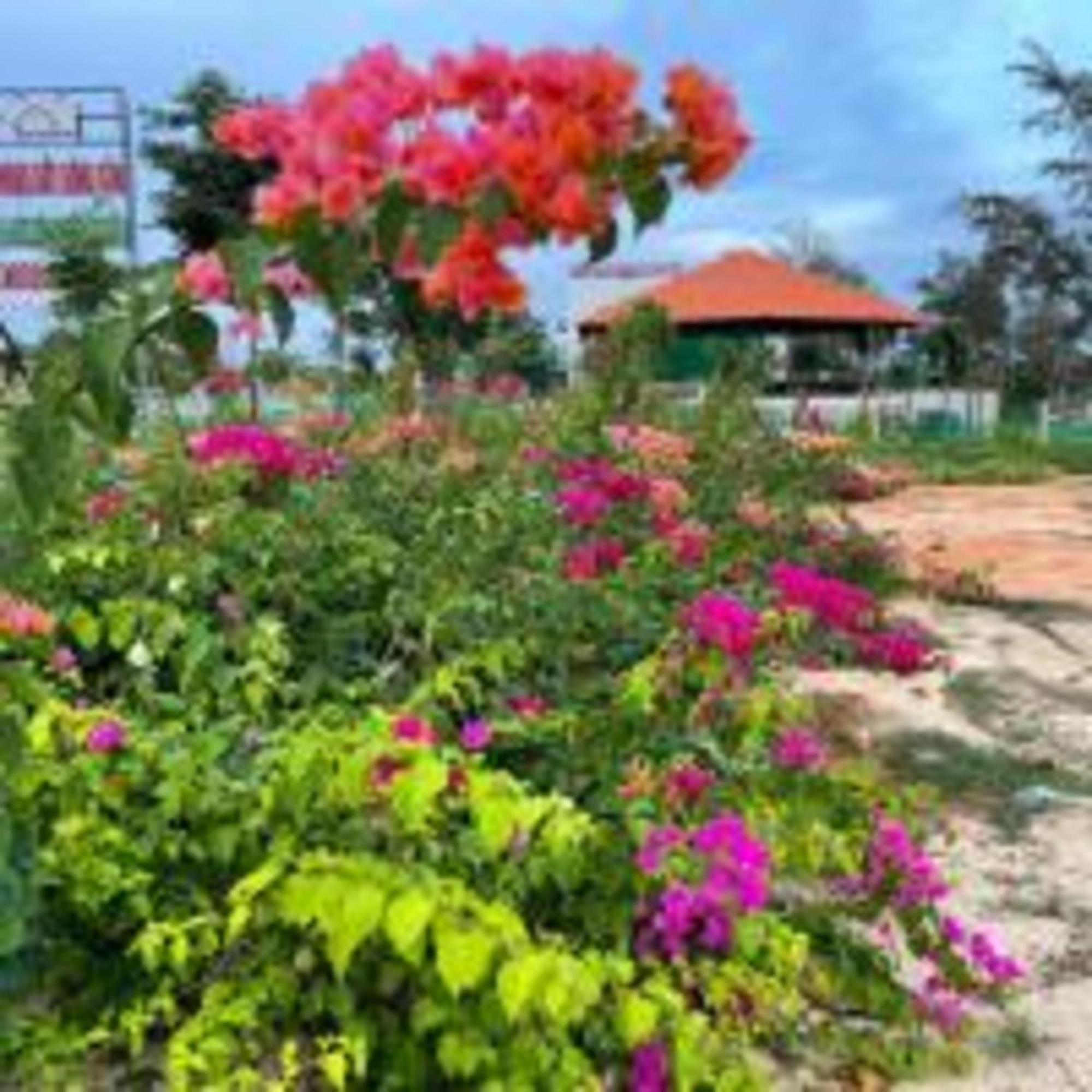 Duc Luu Quang Hotel Binh Thuan Tuy Phong Eksteriør bilde